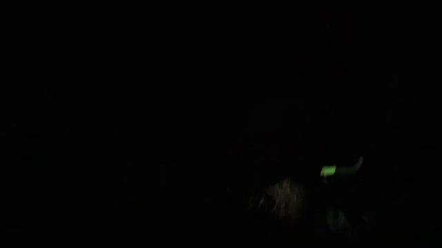 Рыбалка на фидер ночью. Успеть до запрета-2. Ловим леща в апреле!