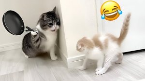 Приколы с животными🤗 Смешные видео про животных 🤗СМЕШНОЕ ВИДЕО😍 Наши любимые смешные животные