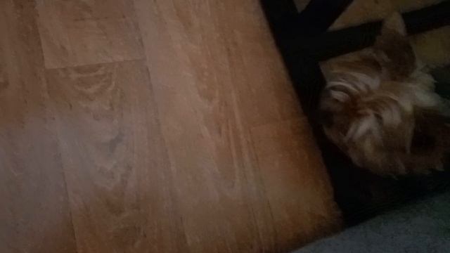 Девочки не всегда хотят быть красивыми и ухоженными 