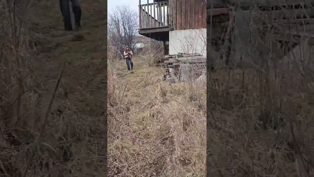 Заброшенная дача. Будем воостанавливать?