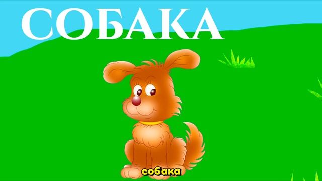 Английский для детей  Учим животных на английском языке  Домашние животные для детей.
