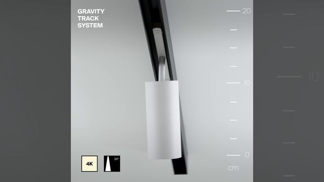 Светильник Maytoni Exility Focus LED TR032-2-20W4K-S-W