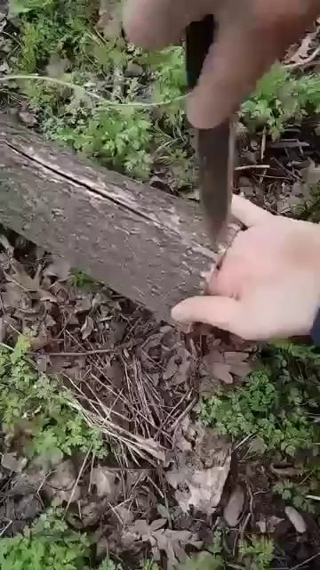 Видео от Выживание