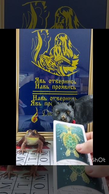 Совет дня🐸#новинка#психология#эзотерика#татьянаясная#интересное#