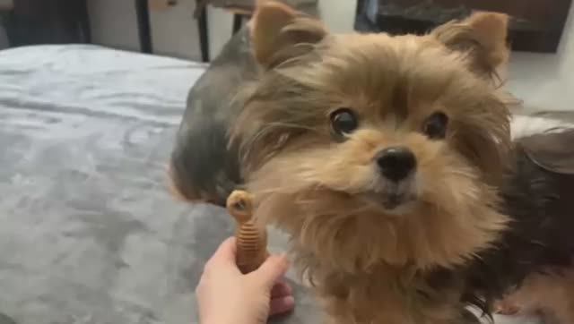 Отдайте мне косточку