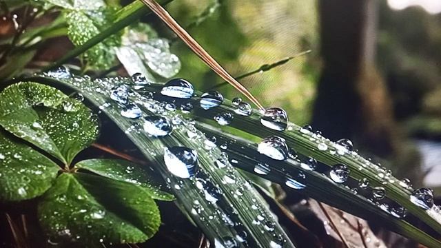 Люба Мукбанг Ситцевая будет прыгать и скакать