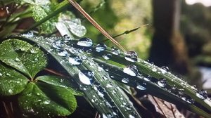 Люба Мукбанг Ситцевая будет прыгать и скакать