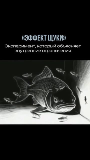 Старый опыт тянет вниз