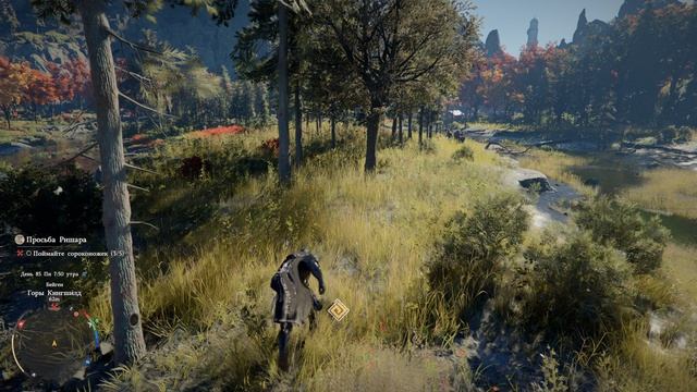 Ловлю сороконожку