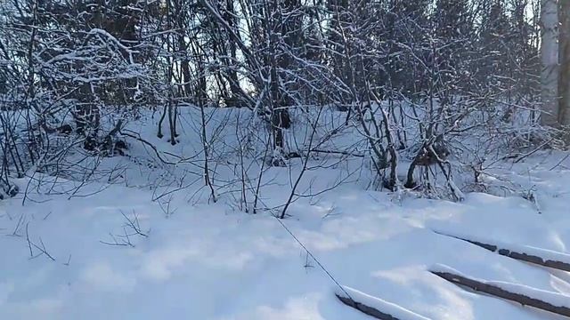 1000090902.mp4горбыль на мост