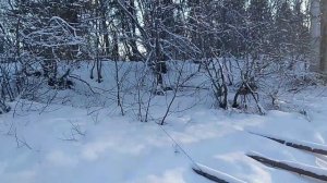 1000090902.mp4горбыль на мост