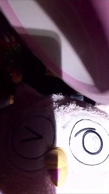 лунику переходит дорогу