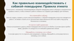 Тематический ролик «Добрая лапа»