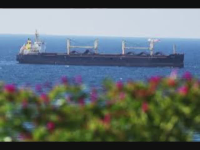 Зеленский решил напугать Израиль санкциями за ввоз российского зерна