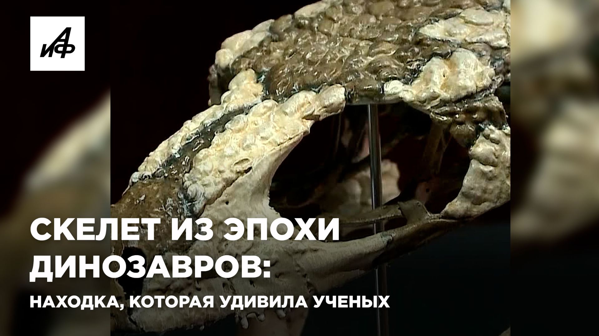 Скелет из эпохи динозавров: находка, которая удивила учёных