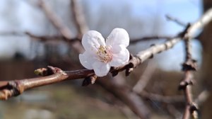 Поболтаем !? Саяногорск Хакасия