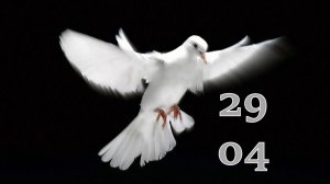 29.04.2026 - Прямая трансляция ст.Елизаветинская