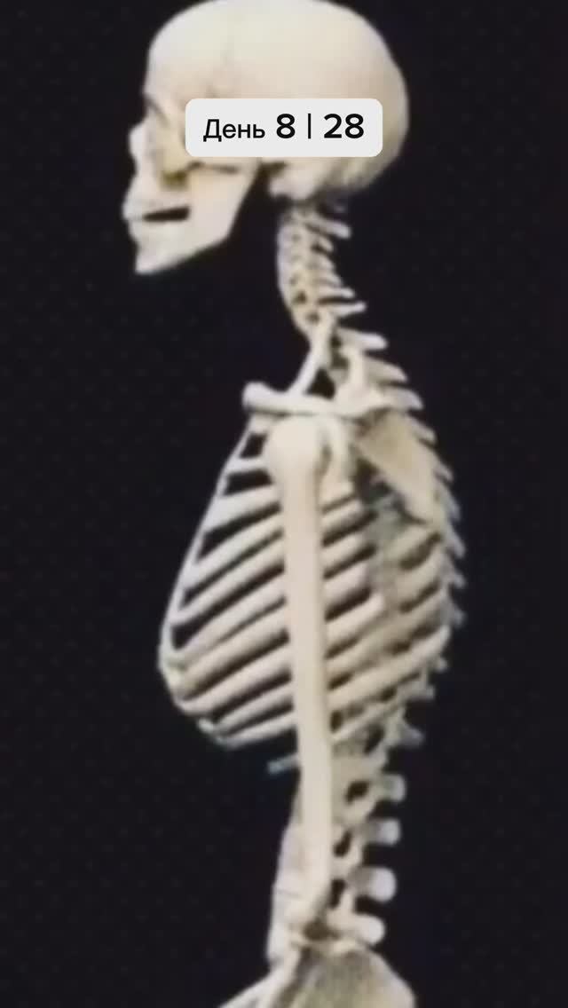 ЧЕЛЛЕНДЖ «КОРОЛЕВСКАЯ ОСАНКА» ДЕНЬ 8