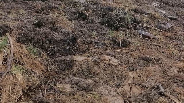 29.04.2026.Ляховский край.Уно-Моменто!25/7/365. Губернаторский. Ляхово TиVи. Усадьба Парк Кинематогр