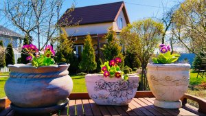 Шок… я чуть не потеряла их | красота весенних дней 🌿 уют и готовка