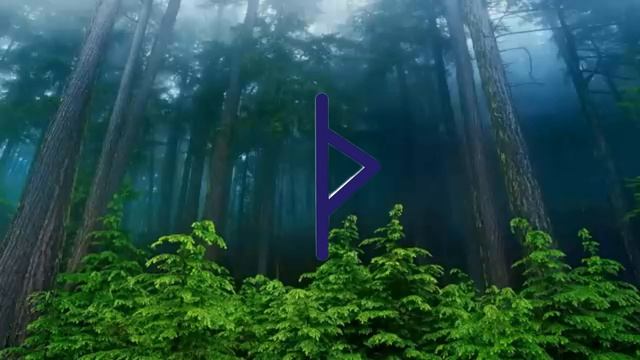 Руна Турисаз Thurisaz значение и движение в отношении жизненных циклов