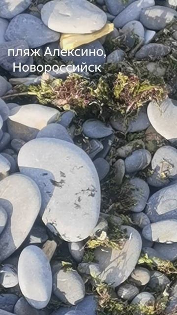 Есть ли мазут? в море вроде нет но на камнях найден 