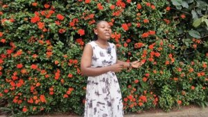 Александр Пушкин. Я помню чудное мгновенье  — исполняет  Девота Аллойс Шипанде