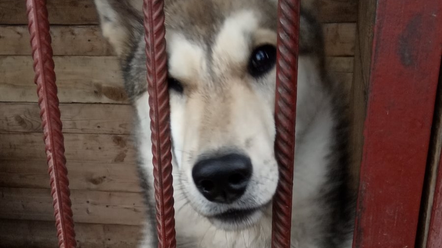 Как быстро дети растут!!!