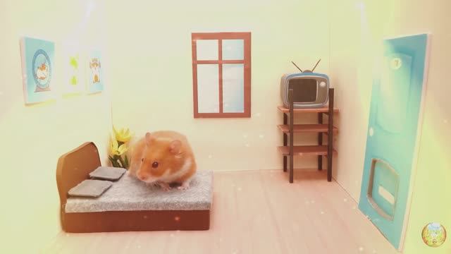 Приключения хомячка в мире кино! 9