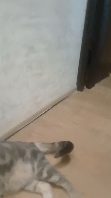 Вот так я и руку потерял
не повторяйте моих ошибок