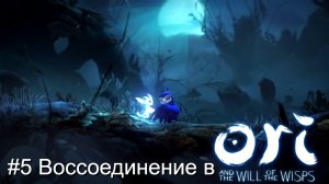 #5 Воссоединение в Ori and the Will of the Wisps