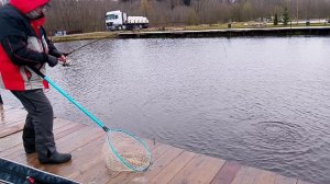 Фореливая рыбалка на 1-м Вип РК «Фишка Петряиха»