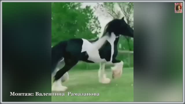 РАНО ИЛИ ПОЗДНО ПОЗДНО ИЛИ РАНО...