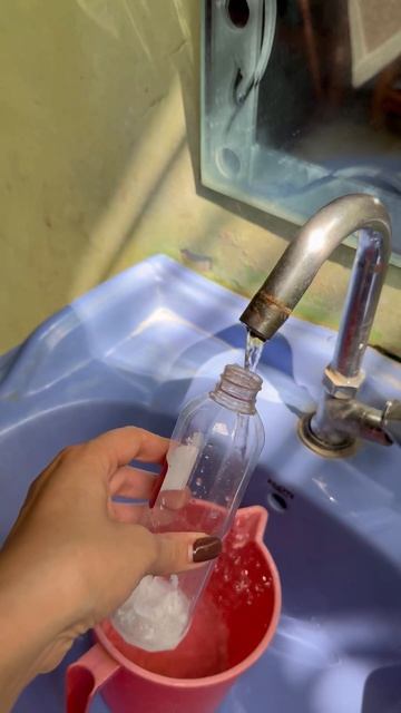 Кто хозяюшка?