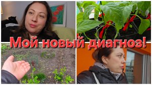 29-04-2026 Вы мне диагноз поставили? // Реальная причина увольнения.