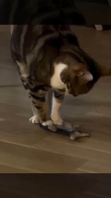 Зачищает следы