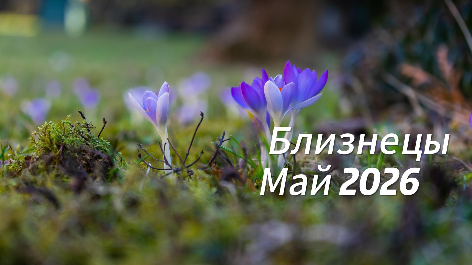 Прогноз для Близнецов на Май 2026