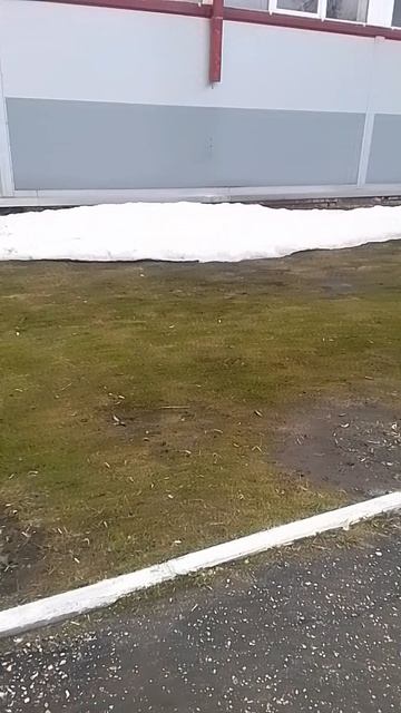 29 апреля остаток зимы 