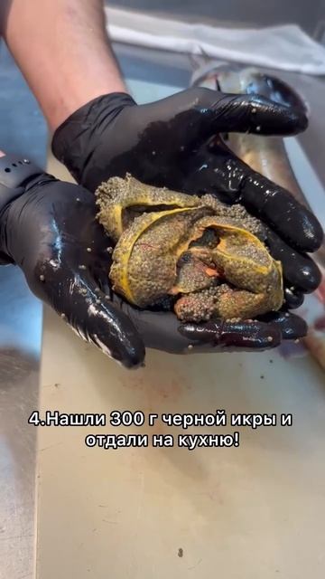 Осётр с икрой