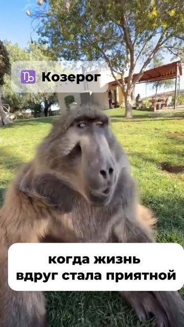 Козерог комплимент