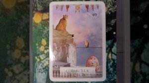 29 Апреля 2026 Мудрость Оракула 🪷