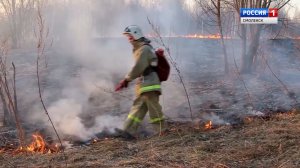 Вести-Смоленск - за выходные в Смоленской области произошло 26 палов травы