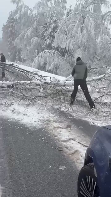 Ураган в Москве