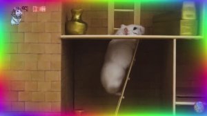 Исследование лабиринта для хомяков — все испытания египетского приключения! часть 4