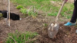 апрельские работы 2026