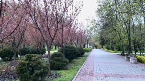 ОДЕССА 29 АПРЕЛЯ 2026. Р0ГУЛИХА ДОКОПАЛАСЬ ДО ОДЕССИТКИ! РЕАКЦИЯ. БЕСПРЕДЕЛ НА ТРАССЕ ОДЕССА КИЕВ!