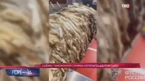 Телеканал «ТВЦ», программа «Город новостей», 29.04.2026