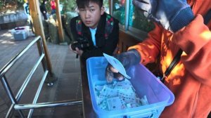 Самое удивительное место в Китае, которое когда-либо видели - 999 Небесных ступеней