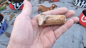 Секатор вместо всего!