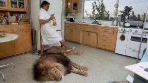 НАСИЛЬНО МИЛ НЕ БУДЕШЬ. О диких животных, которых люди держат дома, а также о цирковых животных